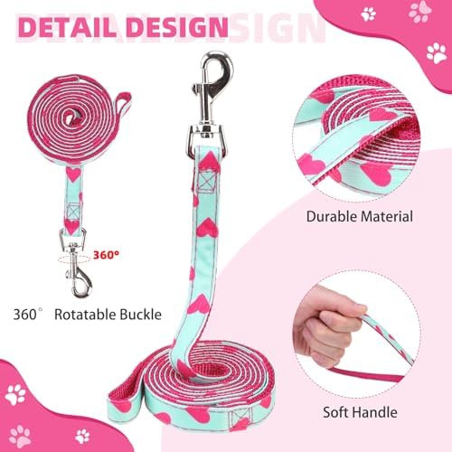 KOOLTAIL Valentines Dog Harness and Leash Set - Image 3