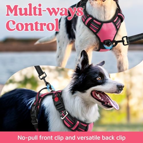 rabbitgoo Dog Harness for Large, No Pull 3 Buckles Easy On & Off - Image 3
