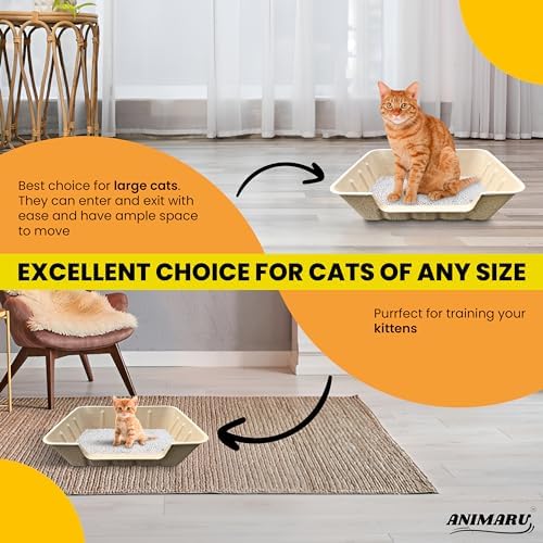 Disposable Litter Boxes - Image 4
