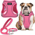 GAMUDA Small Pet Harness Collar and Leash Set, Step in No Chock No Pull Linen by GAMUDACollarsCollection