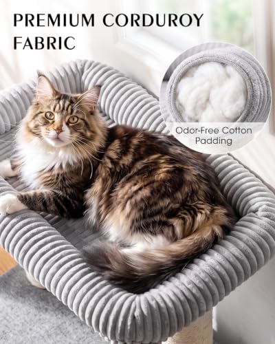 Maine Coon Cat Tree for Large Indoor Cats, Cat Tower, Stable Base - Image 3