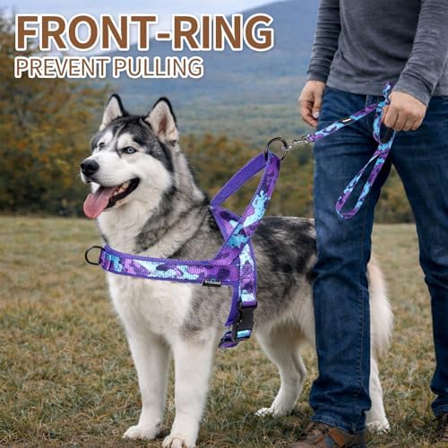 No Pull Dog Harness and Leash Set - Image 4