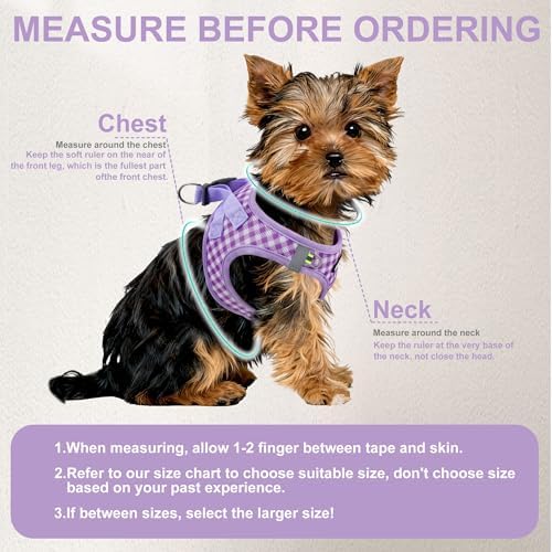 AIITLE Step in Small Dog Harness and Leash Set, Puppy Pet Vest - Image 2