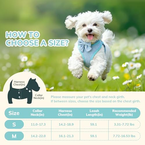 Small Dog Collar Harness and Leash Set, Dog Harness no Pull - Image 2