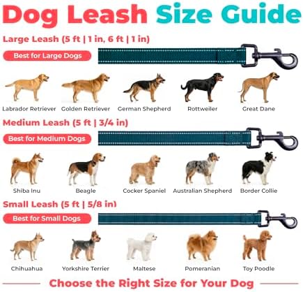 Best Pet Supplies Voyager Nylon Dog Leash - 6ft Blue - Image 6