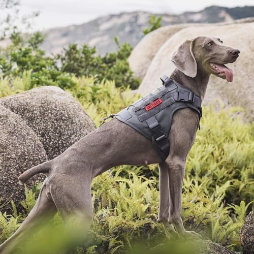 OneTigris Tactical Dog Harness Vest No-Pull Service Dog Vest - Image 6