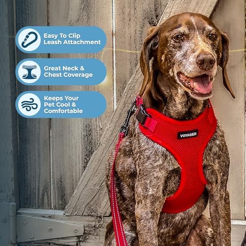 Voyager Step-in Lock Dog Harness - Image 3