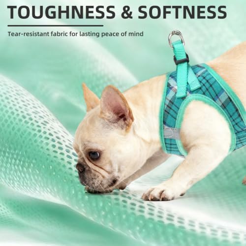 PUPTECK Dog Harness, Collar and Leash Set No Pull - Image 6