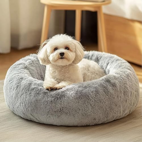 JOLLYVOGUE Small Dog Bed, Calming Soft Anti-Anxiety Donut Cat Bed, Washable by JOLLYVOGUE