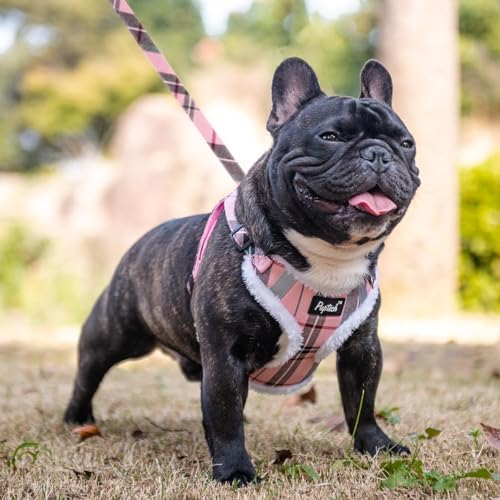 PUPTECK Dog Harness and Leash Set Medium Sized, Step in No Pull Adjustable - Image 5