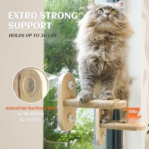 PETKARAY Large Cat Window Shelf, Upgraded Window Stairs - Image 3
