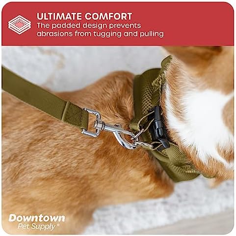 Downtown Pet Supply Step in Dog Harness No Pull, Hunter Green - Image 6
