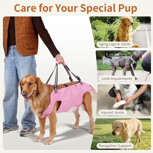 Mayerzon Full Body Dog Lift Harness, Support Senior & Disabled Dogs Walking - Image 4