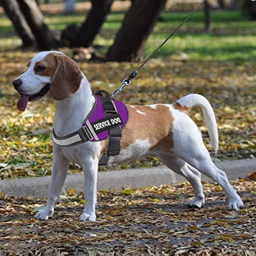 JSXD Dog Harness, No-Pull Service Dog Harness - Image 4