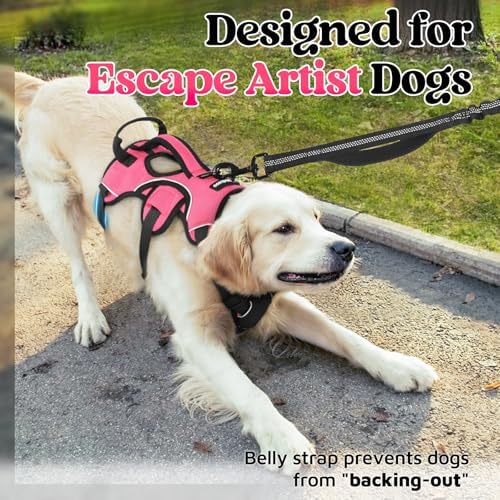 rabbitgoo Escape Proof Dog Harness - Image 2