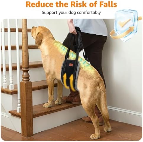 LOOBANI Dog Sling for Extra Large Dogs Hind Leg Support Weak Rear Leg Aid - Image 4
