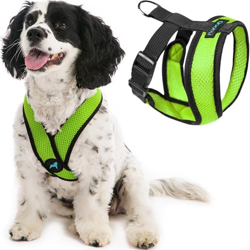 Gooby Comfort X Head-in Dog Harness, Choke-Free by Gooby