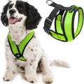Gooby Comfort X Head-in Dog Harness, Choke-Free by Gooby