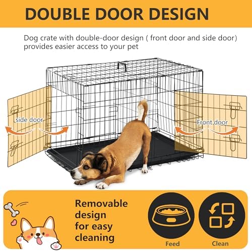 FDW | 36" Foldable Metal Dog Crate | Black | Cage - Image 4