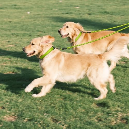Taglory Double Dog Leash Coupler - Image 7