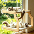 Cat Window Perch with 6 Strong Suction Cups, EZ Mount Double Stack by Sey%C3%B5ssbe