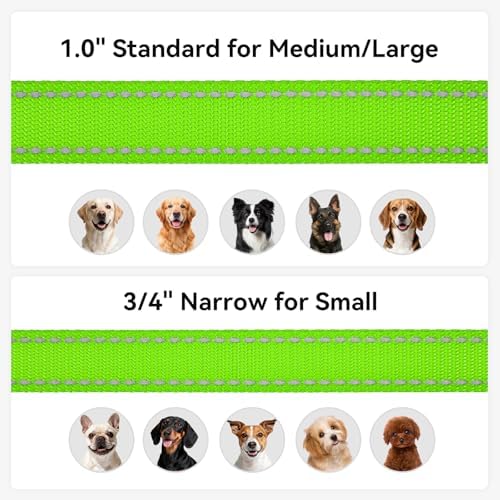 Joytale Reflective Dog Leash for Small Dogs, 4 FT x 3/4" - Image 6