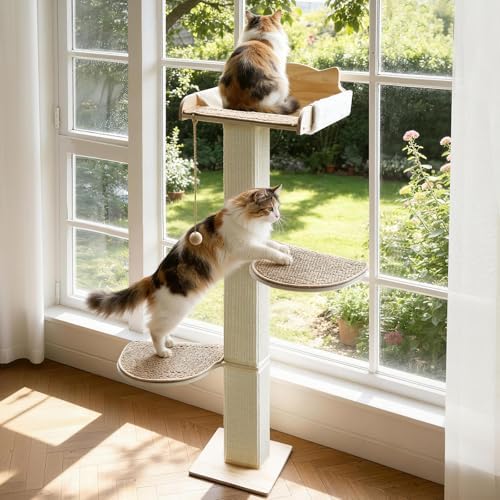 Solid Wood Cat Window Perch by GreenPetopia
