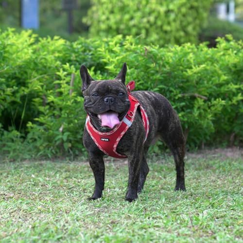 AMTOR Small Dog Harness with Leash Set, No Escape Easy Walk Puppy Harnesses - Image 5