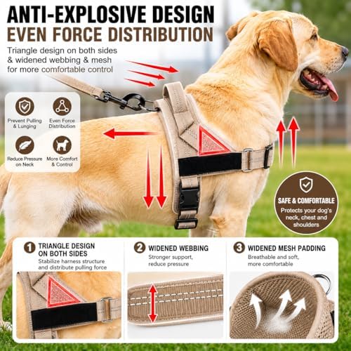 Adjustable Dog Harness No Pull - Image 3