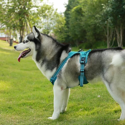 Voyager Dual Attachment No Pull Harness - Image 2
