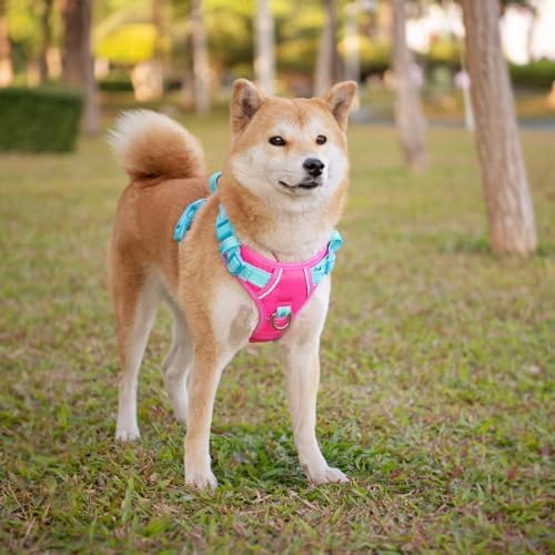 PHOEPET No Pull Dog Harness, Unique Colors Reflective Adjustable Dog Vest - Image 3