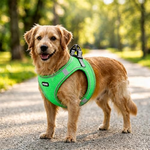 ROYPET Step-in Air Dog Harness, All Weather Mesh Step in Vest Harness - Image 7