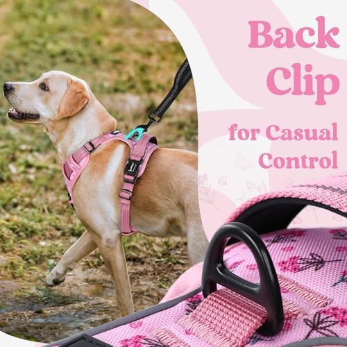 rabbitgoo Dog Harness Small Sized, Updated Easy On & Off - Image 6