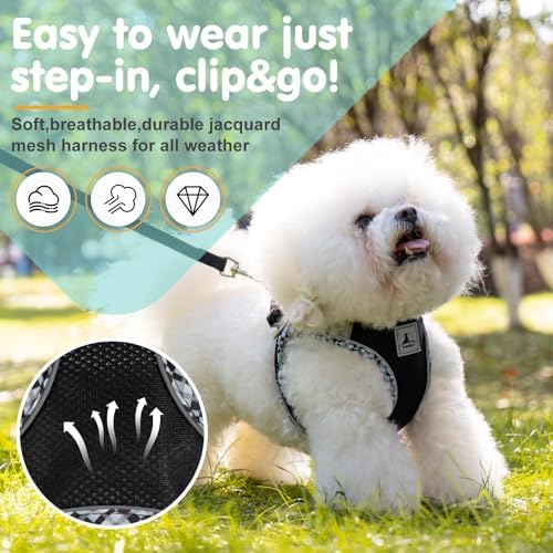 Dog Harness and Leash Set, No Pull Pet Harness - Image 2