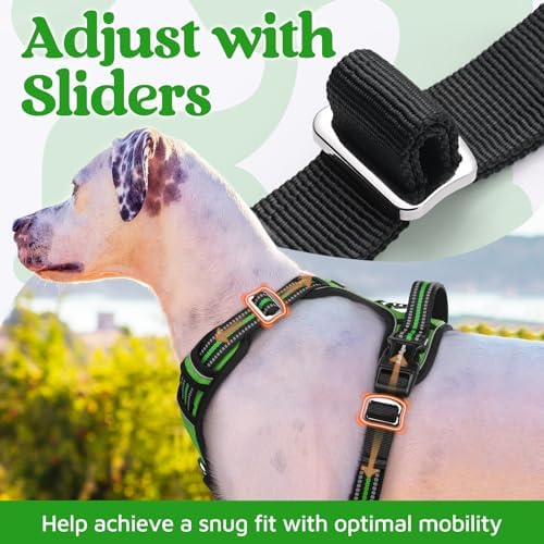 rabbitgoo Dog Harness Medium Sized, No Pull 3 Buckles Easy On & Off - Image 5