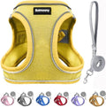 Solmoony Sparkly XXXS Dog Harness and Leash Set, Step in Soft Light Puppy Vest by SOLMOONY