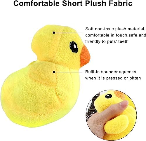 LEGEND SANDY Dog Squeaky Toys, Plush Small Dog Toys - Image 3