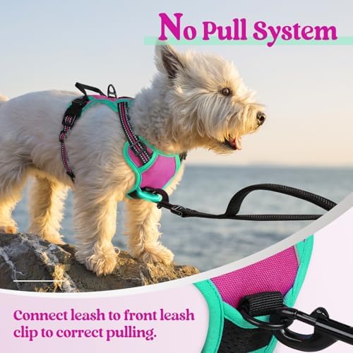 rabbitgoo Dog Harness, No Pull for Small Dogs - Image 5
