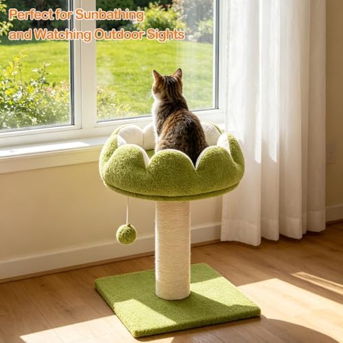 Flower Cat Scratching Post for Indoor Cats Scratcher - Image 5