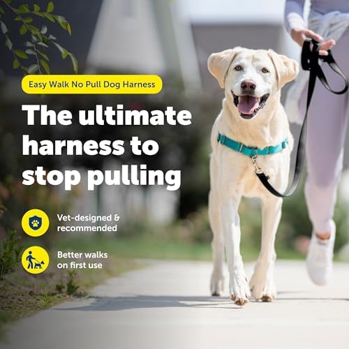 PetSafe Easy Walk Harness, No Pull Dog Harness - Image 3