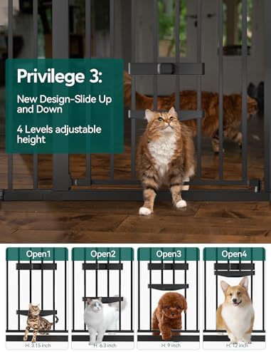 Babelio Dog Gate with Cat Door, CatPrivilege II - Image 2