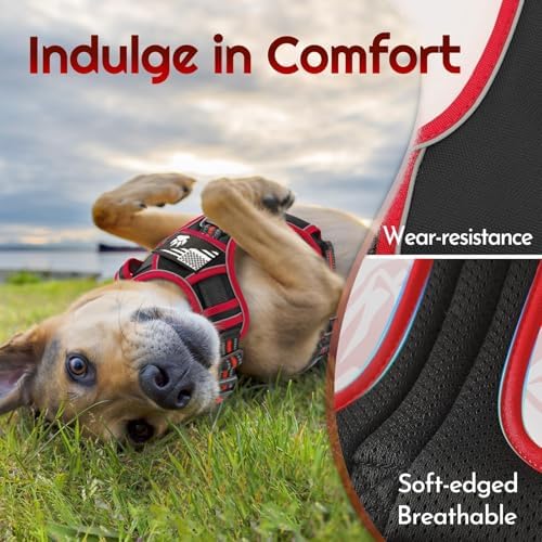 Eagloo Dog Harness No Pull for Small Dogs, Easy On & Off - Image 6