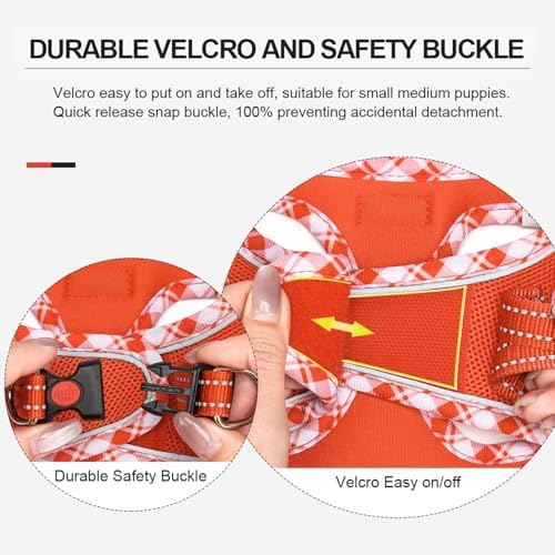 Mercano Soft Mesh Dog Harness and Leash Set, Step-in Reflective Breathable - Image 4