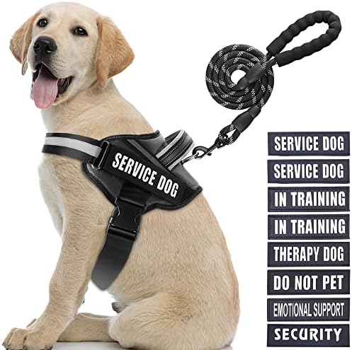 Service Dog Vest Harness and Leash Set, Animire in Training Dog Harness by Animire