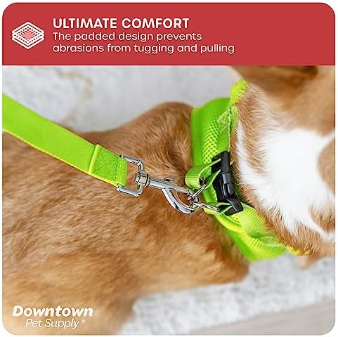 Downtown Pet Supply Step in Dog Harness - Image 5