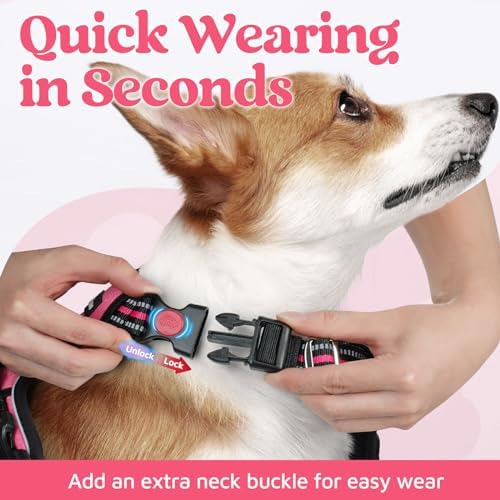 rabbitgoo Dog Harness Small Sized, No Pull 3 Buckles Easy On & Off - Image 2