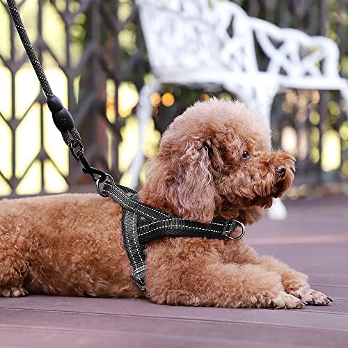 Plutus Pet No Pull Dog Harness for Small Dogs, Breathable Mesh Padded - Image 5