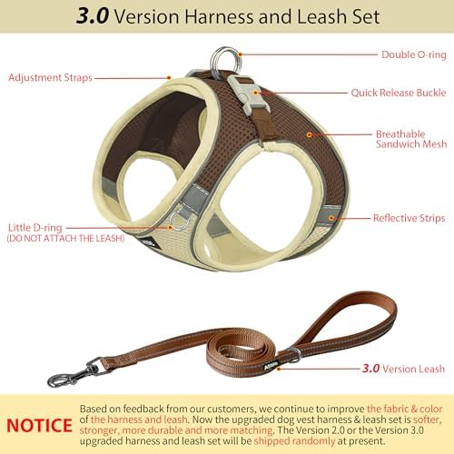AIITLE Small Dog Harness and Leash Set, Step-in Puppy Pet Vest - Image 3