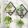 LASZOLA Plant Picture Frame Holder Shelf Wall Window Indoor by LASZOLA