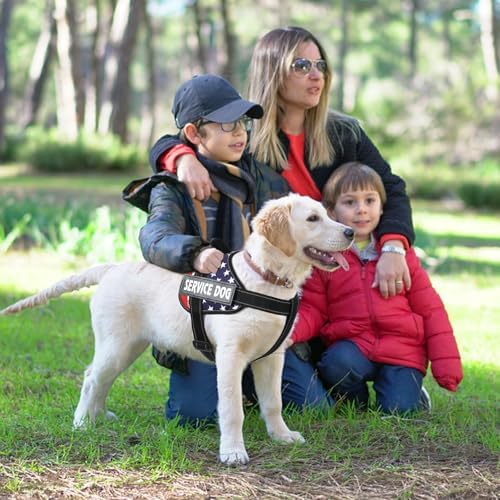 voopet Emotional Support Dog Harness, Professional Service Dog Vest Harness - Image 3